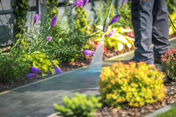 Best Pre-Holiday Cleaning  in Brimfield, OH